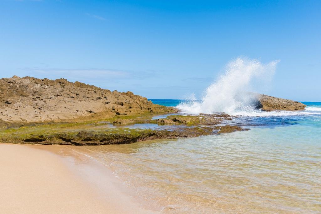 IsloteVentana Al Atlantico At Arecibo 681 Ocean Driveアパートメント エクステリア 写真