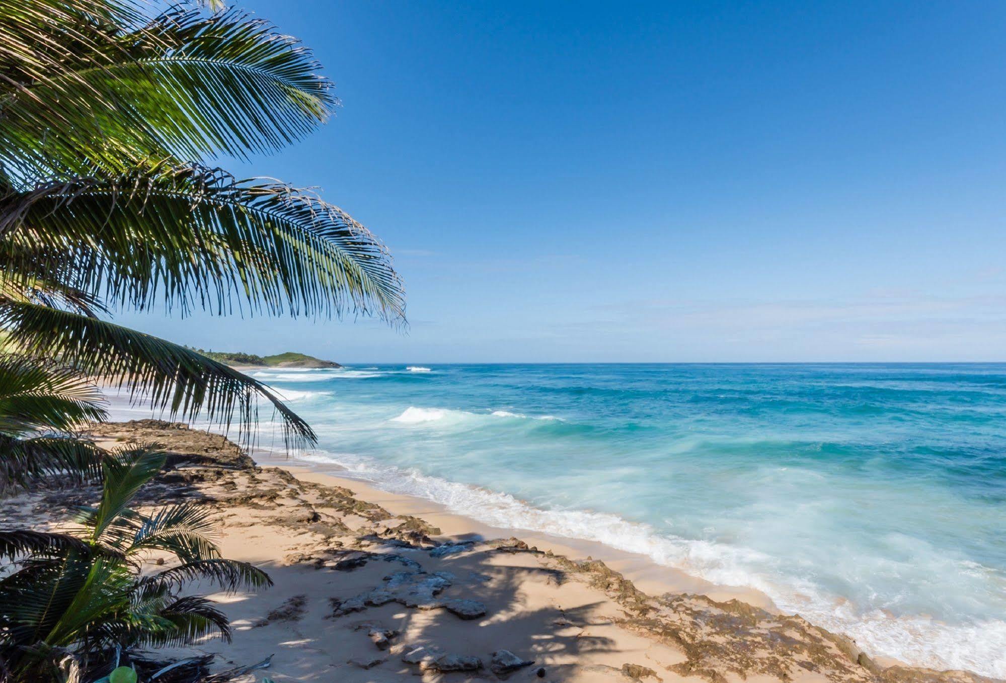 IsloteVentana Al Atlantico At Arecibo 681 Ocean Driveアパートメント エクステリア 写真