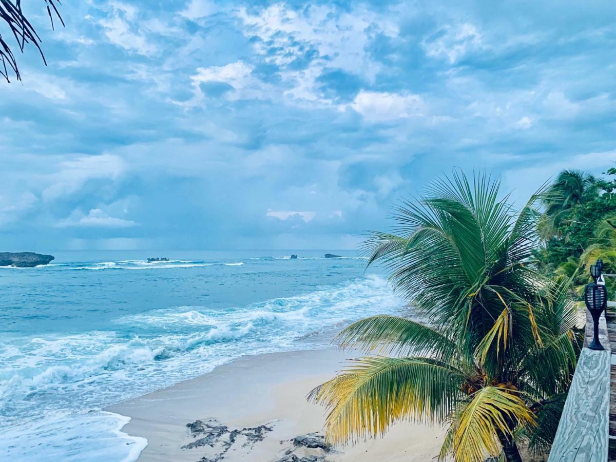 IsloteVentana Al Atlantico At Arecibo 681 Ocean Driveアパートメント エクステリア 写真