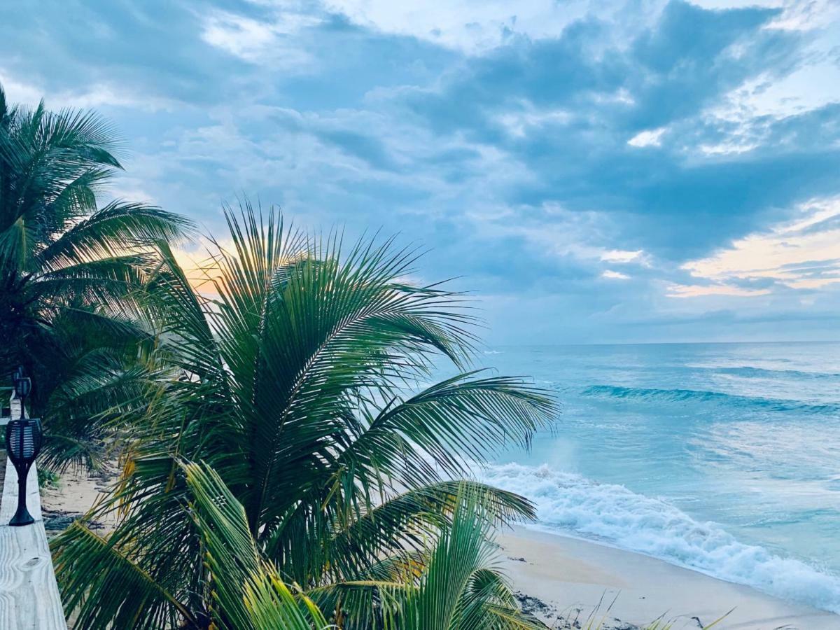IsloteVentana Al Atlantico At Arecibo 681 Ocean Driveアパートメント エクステリア 写真